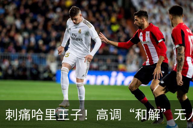 刺痛哈里王子！高调“和解”无人应答，查尔斯威廉同框显父子情深