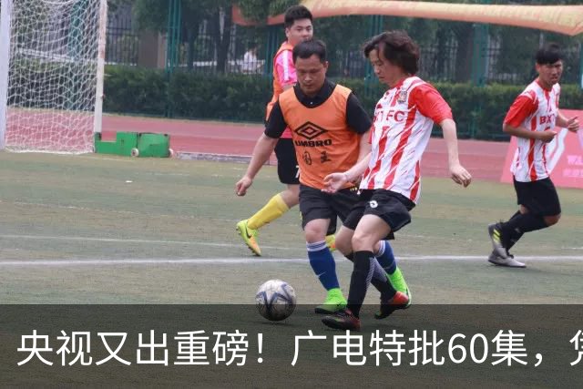 央视又出重磅！广电特批60集，凭什么让观众提前一年开始等